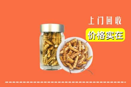 收购资讯:成武县回收散虫草