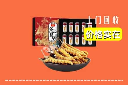 成武县回收虫草